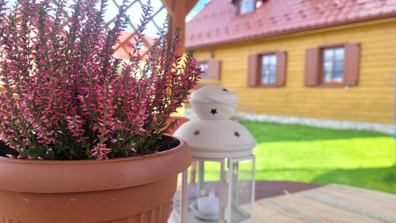 Važec Holidayhouse Chalupa Alzbetka מראה חיצוני תמונה